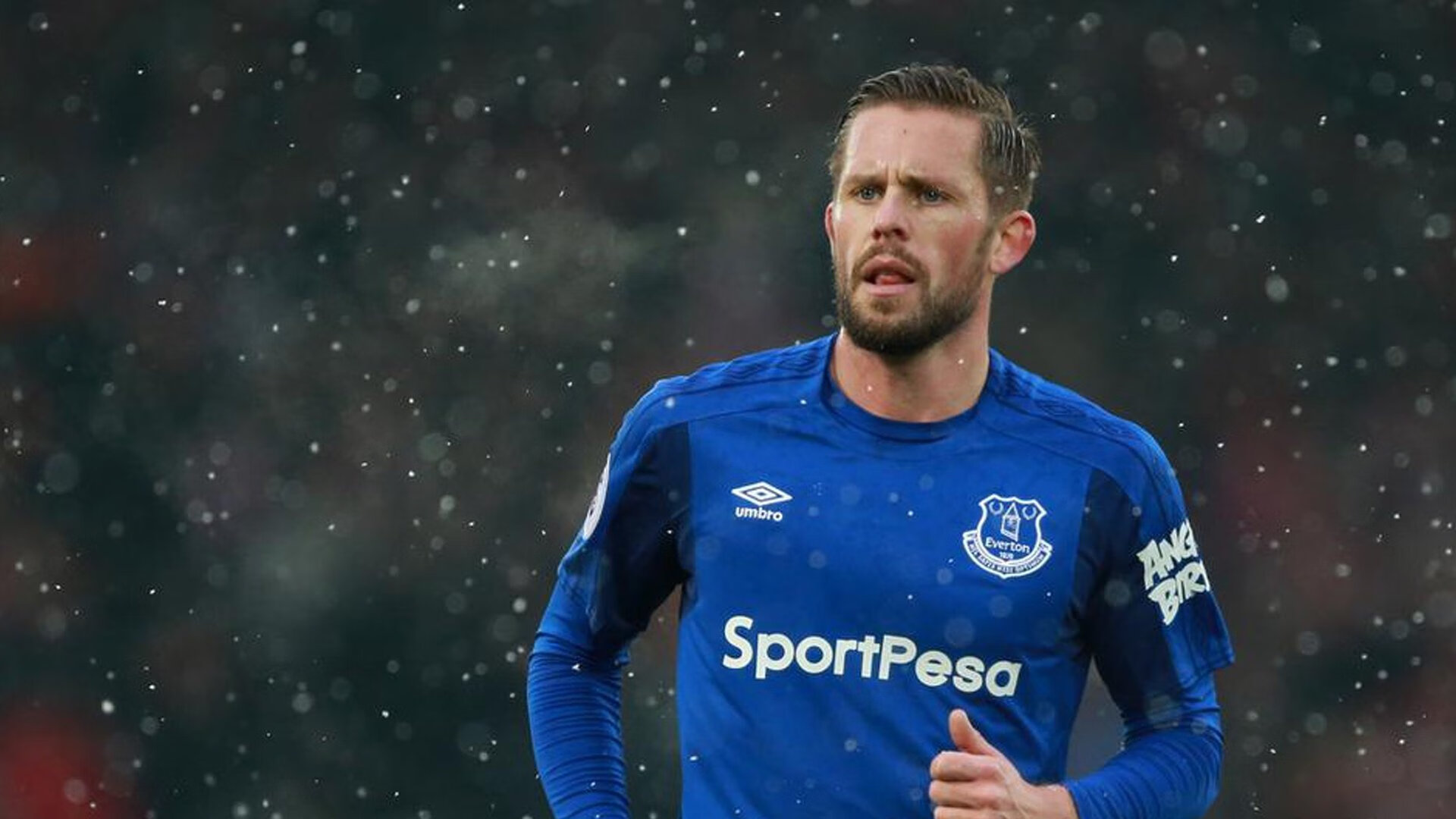 FIFA发文祝贺伊朗:“勇气与智慧并存的球队”,伊朗 足球队